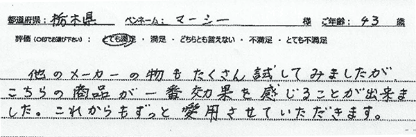 レビュー
